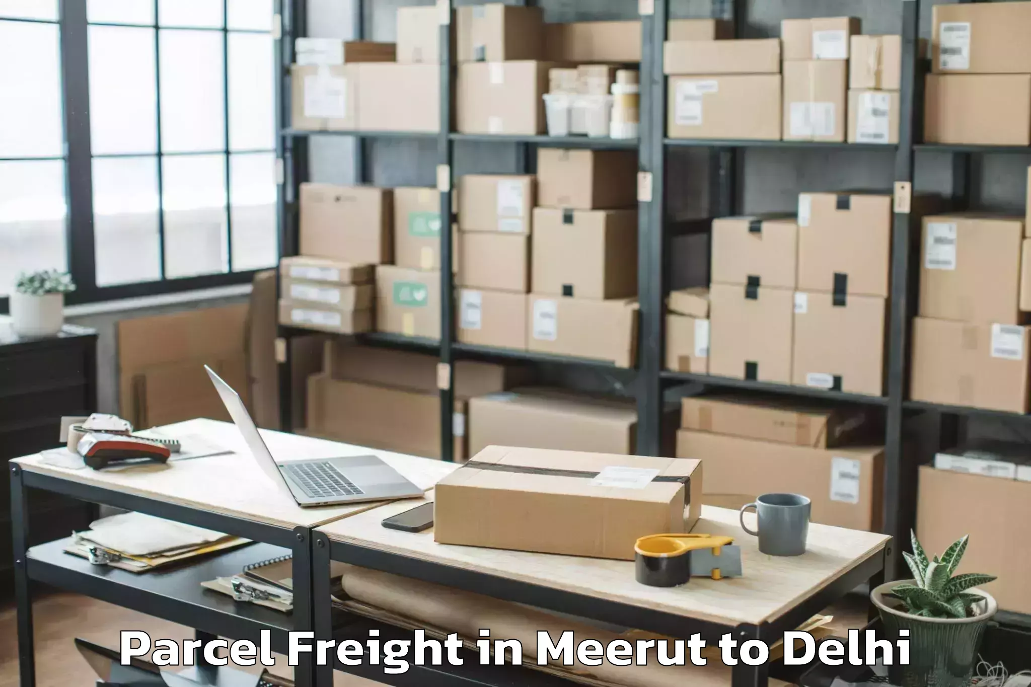 Book Meerut to City Centre Mall Rohini Parcel Freight